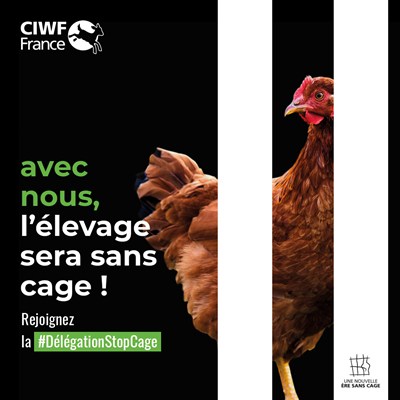 Illustration d'une poule en cage avec écrit avec nous l'élevage sera sans cage